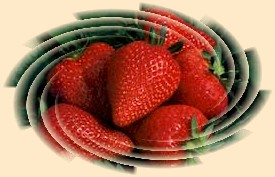 Logo - jahody